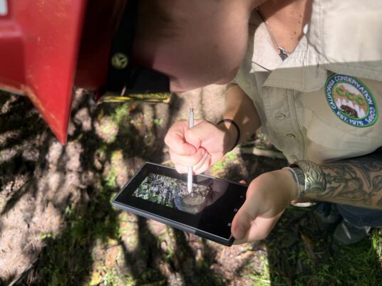 CCCとの協働トレイルメンテナンス_釜石市_鍬台峠編①