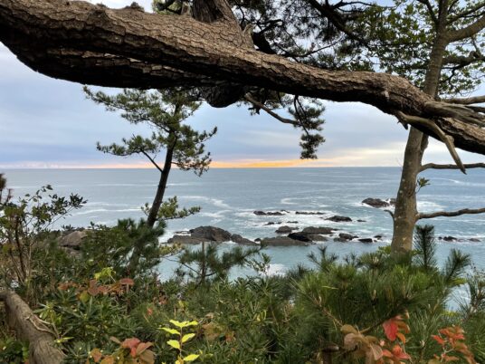 神割崎キャンプ場の朝