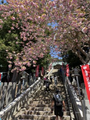 金華山の神社へ