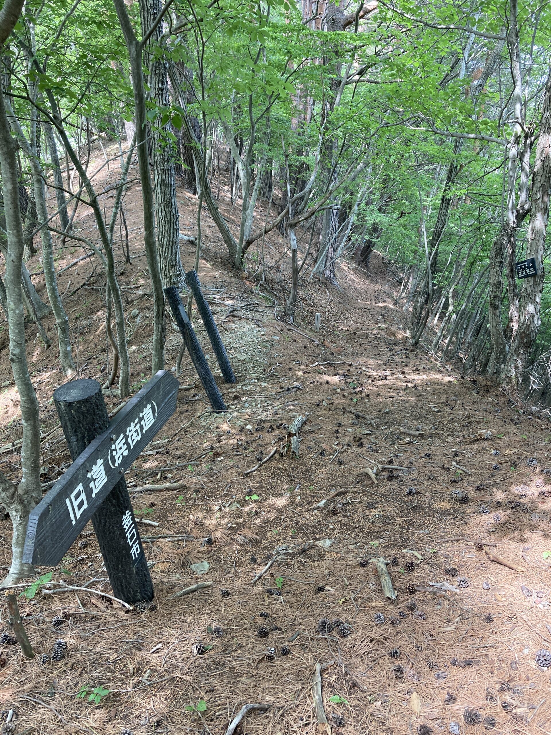 三陸浜街道、鳥谷坂を行く