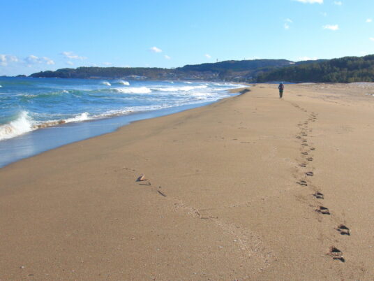 冬の砂浜