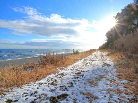 朝陽に向かって