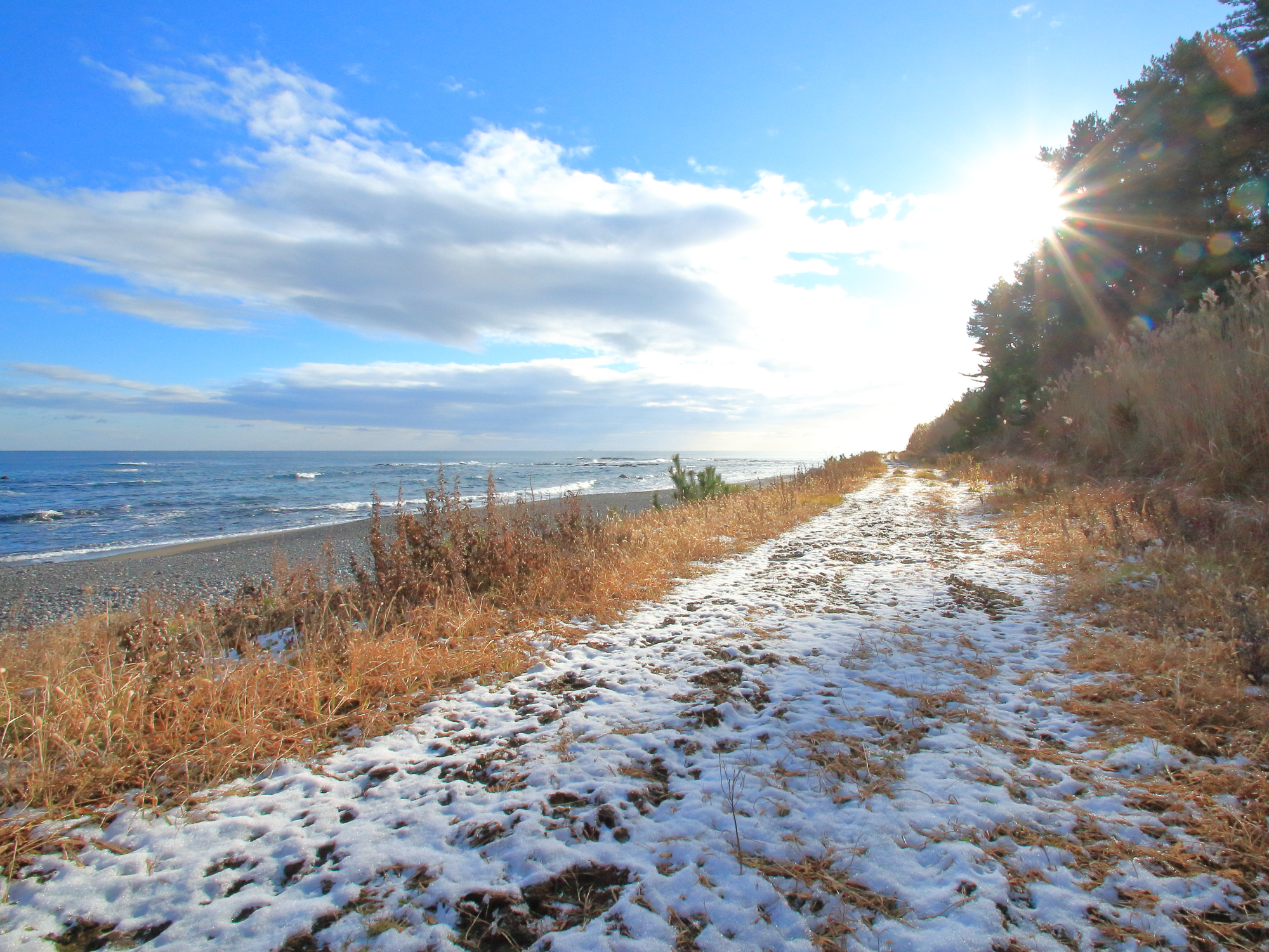 朝陽に向かって