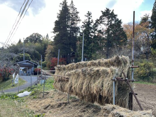 今年の出来は？