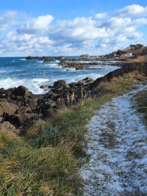 白い雲と白い波、そして白い道
