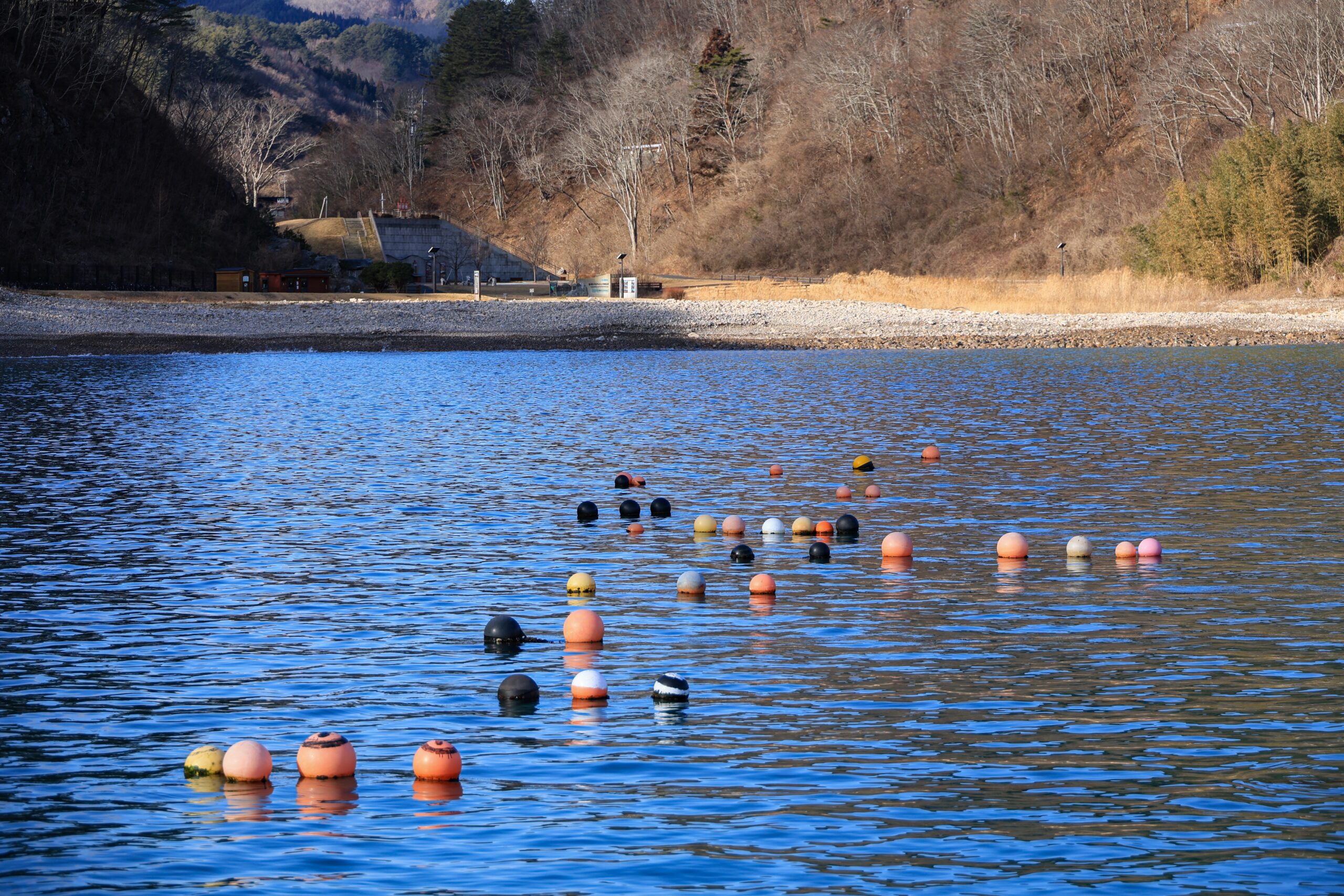 海から浜を眺める