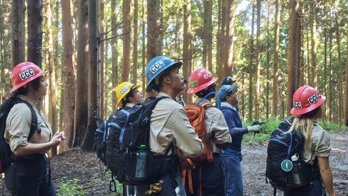 CCCとの協働トレイルメンテナンス_大船渡市_綾里崎編③