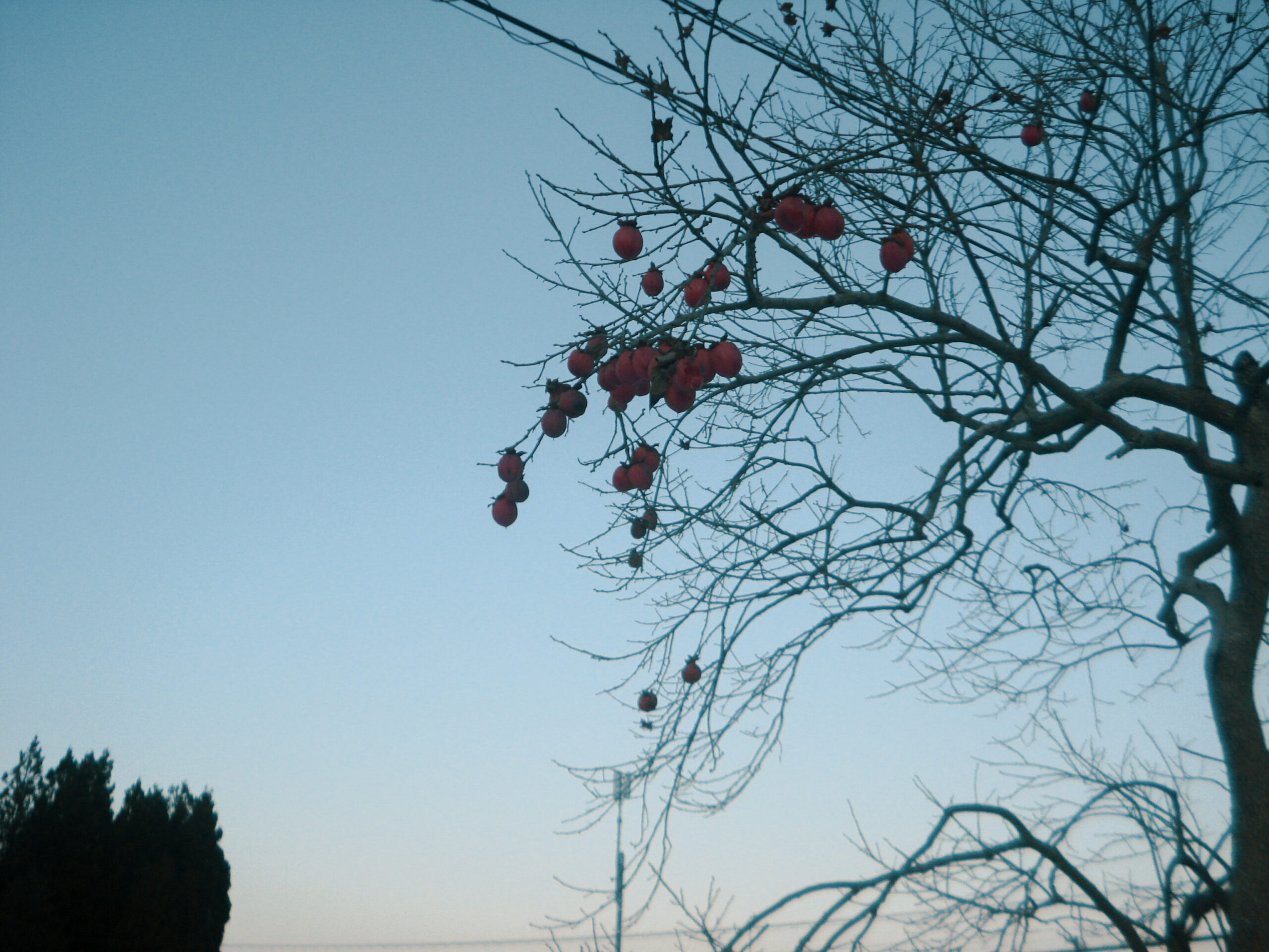 身を寄せ合って