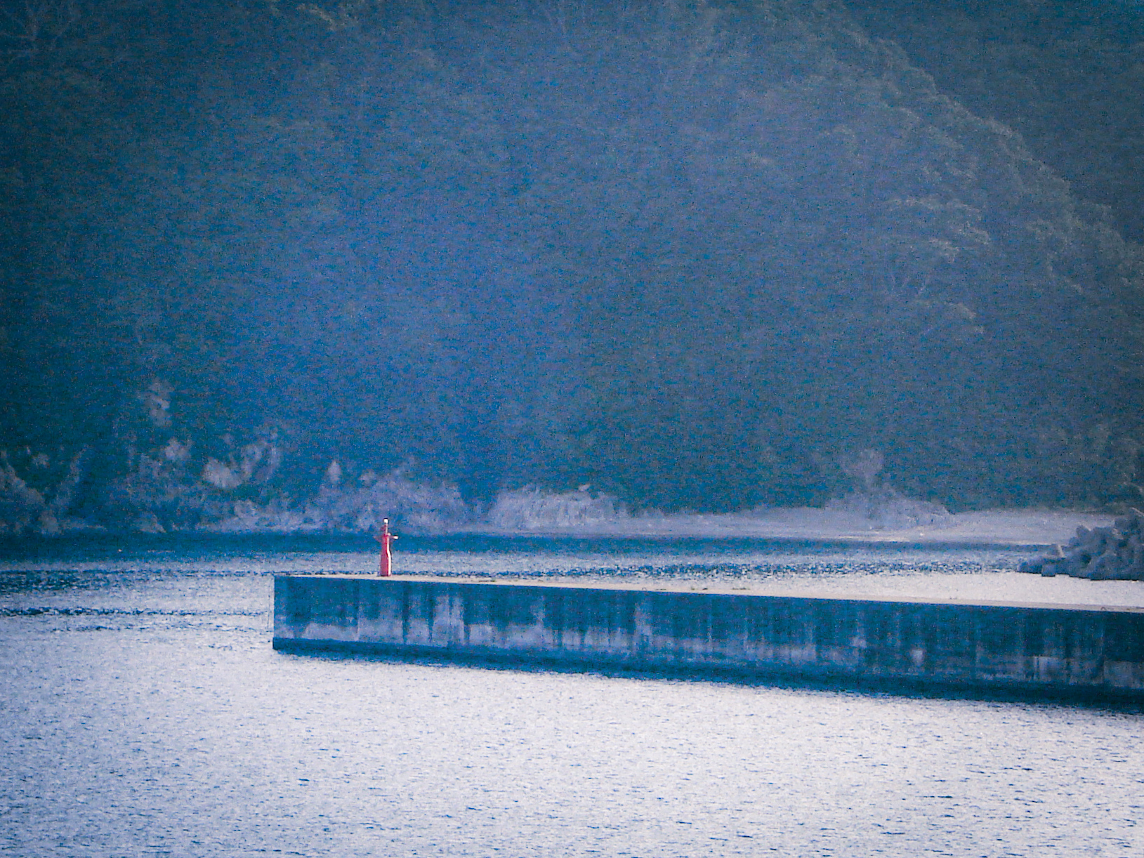 根を張るように