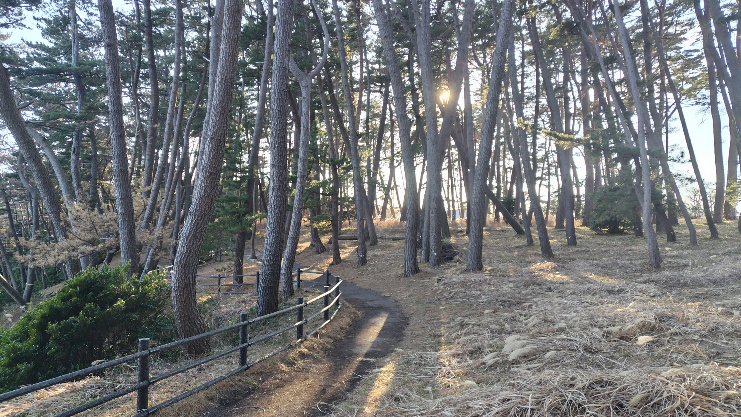 年の瀬の碁石海岸