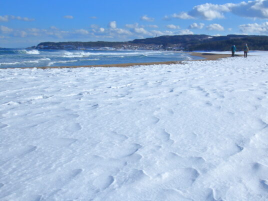 海岸のシュカブラ